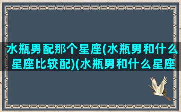 水瓶男配那个星座(水瓶男和什么星座比较配)(水瓶男和什么星座最配对指数)