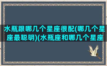 水瓶跟哪几个星座很配(哪几个星座最聪明)(水瓶座和哪几个星座配)