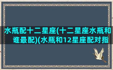 水瓶配十二星座(十二星座水瓶和谁最配)(水瓶和12星座配对指数)