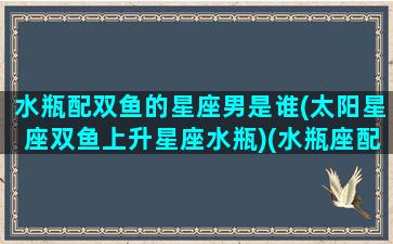 水瓶配双鱼的星座男是谁(太阳星座双鱼上升星座水瓶)(水瓶座配对双鱼)