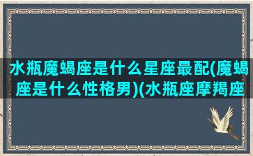 水瓶魔蝎座是什么星座最配(魔蝎座是什么性格男)(水瓶座摩羯座相配指数)