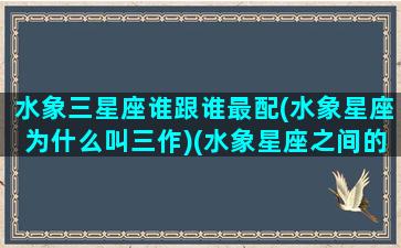 水象三星座谁跟谁最配(水象星座为什么叫三作)(水象星座之间的配对)