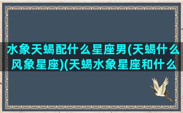 水象天蝎配什么星座男(天蝎什么风象星座)(天蝎水象星座和什么星座冲)