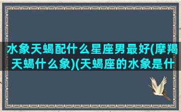 水象天蝎配什么星座男最好(摩羯天蝎什么象)(天蝎座的水象是什么意思)