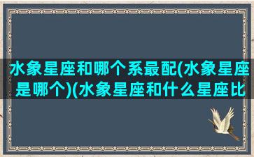 水象星座和哪个系最配(水象星座是哪个)(水象星座和什么星座比较配)