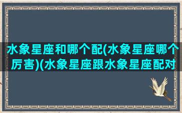 水象星座和哪个配(水象星座哪个厉害)(水象星座跟水象星座配对)