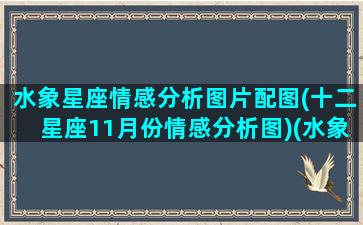 水象星座情感分析图片配图(十二星座11月份情感分析图)(水象星座情绪化)