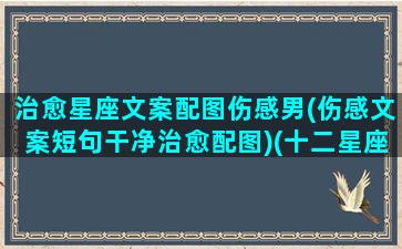 治愈星座文案配图伤感男(伤感文案短句干净治愈配图)(十二星座的伤感签名说说)