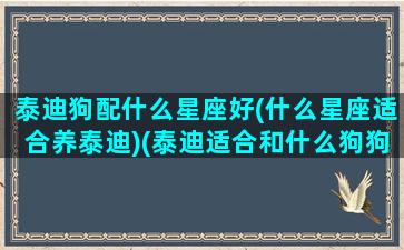 泰迪狗配什么星座好(什么星座适合养泰迪)(泰迪适合和什么狗狗一起养)