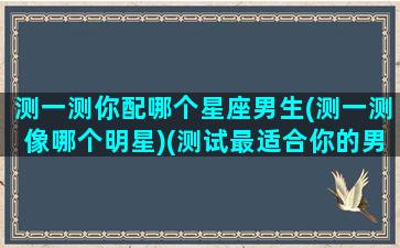 测一测你配哪个星座男生(测一测像哪个明星)(测试最适合你的男明星)