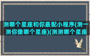 测哪个星座和你最配小程序(测一测你像哪个星座)(测测哪个星座适合你)