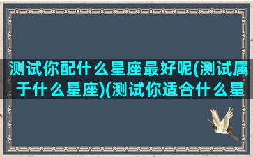 测试你配什么星座最好呢(测试属于什么星座)(测试你适合什么星座另一半)