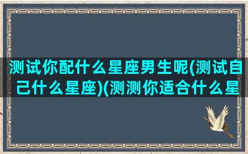 测试你配什么星座男生呢(测试自己什么星座)(测测你适合什么星座的男生)