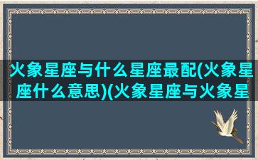 火象星座与什么星座最配(火象星座什么意思)(火象星座与火象星座配对)