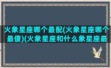 火象星座哪个最配(火象星座哪个最傻)(火象星座和什么象星座最配)