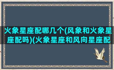 火象星座配哪几个(风象和火象星座配吗)(火象星座和风向星座配不配)