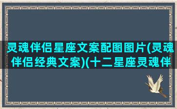 灵魂伴侣星座文案配图图片(灵魂伴侣经典文案)(十二星座灵魂伴侣是哪个星座)