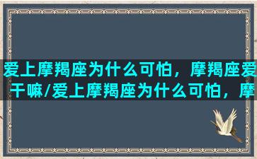 爱上摩羯座为什么可怕，摩羯座爱干嘛/爱上摩羯座为什么可怕，摩羯座爱干嘛-我的网站