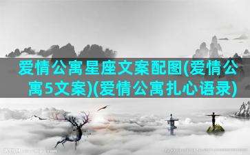 爱情公寓星座文案配图(爱情公寓5文案)(爱情公寓扎心语录)