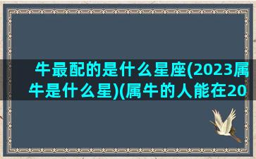 牛最配的是什么星座(2023属牛是什么星)(属牛的人能在2023年能结婚)