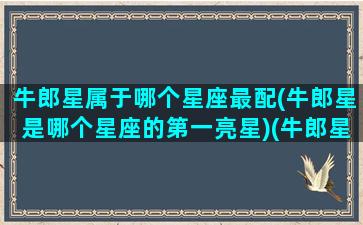 牛郎星属于哪个星座最配(牛郎星是哪个星座的第一亮星)(牛郎星是什么星座的)