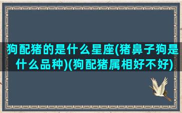 狗配猪的是什么星座(猪鼻子狗是什么品种)(狗配猪属相好不好)