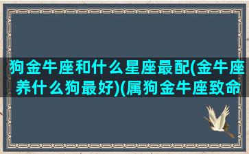 狗金牛座和什么星座最配(金牛座养什么狗最好)(属狗金牛座致命弱点)