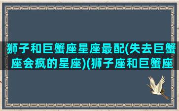 狮子和巨蟹座星座最配(失去巨蟹座会疯的星座)(狮子座和巨蟹座匹配度是多少)