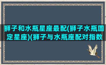 狮子和水瓶星座最配(狮子水瓶固定星座)(狮子与水瓶座配对指数)