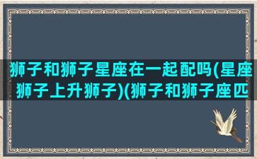 狮子和狮子星座在一起配吗(星座狮子上升狮子)(狮子和狮子座匹配程度是多少)