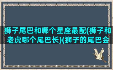 狮子尾巴和哪个星座最配(狮子和老虎哪个尾巴长)(狮子的尾巴会翘起来吗)