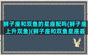 狮子座和双鱼的星座配吗(狮子座上升双鱼)(狮子座和双鱼星座最配)