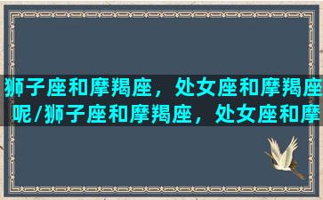 狮子座和摩羯座，处女座和摩羯座呢/狮子座和摩羯座，处女座和摩羯座呢-我的网站