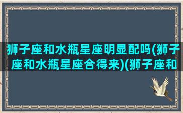 狮子座和水瓶星座明显配吗(狮子座和水瓶星座合得来)(狮子座和水瓶座匹配程度)