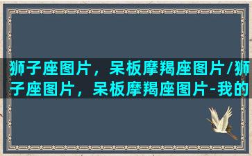 狮子座图片，呆板摩羯座图片/狮子座图片，呆板摩羯座图片-我的网站