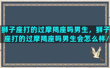 狮子座打的过摩羯座吗男生，狮子座打的过摩羯座吗男生会怎么样/狮子座打的过摩羯座吗男生，狮子座打的过摩羯座吗男生会怎么样-我的网站