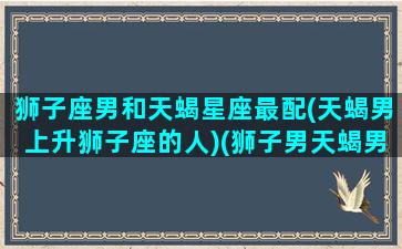 狮子座男和天蝎星座最配(天蝎男上升狮子座的人)(狮子男天蝎男谁更好)