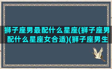 狮子座男最配什么星座(狮子座男配什么星座女合适)(狮子座男生配什么星座女生)