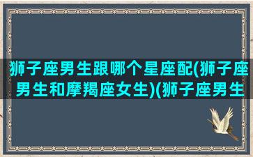 狮子座男生跟哪个星座配(狮子座男生和摩羯座女生)(狮子座男生与什么星座配对)