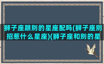 狮子座跟别的星座配吗(狮子座别招惹什么星座)(狮子座和别的星座的关系)