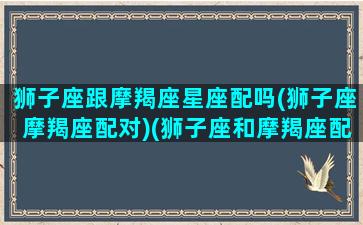 狮子座跟摩羯座星座配吗(狮子座摩羯座配对)(狮子座和摩羯座配什么星座)