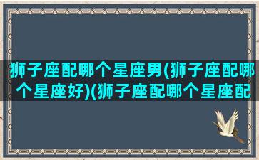 狮子座配哪个星座男(狮子座配哪个星座好)(狮子座配哪个星座配对)