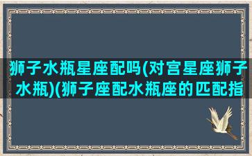 狮子水瓶星座配吗(对宫星座狮子水瓶)(狮子座配水瓶座的匹配指数是什么)