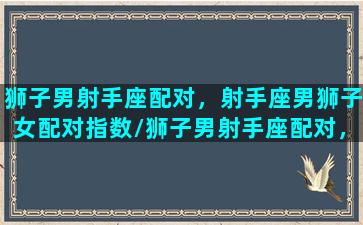 狮子男射手座配对，射手座男狮子女配对指数/狮子男射手座配对，射手座男狮子女配对指数-我的网站