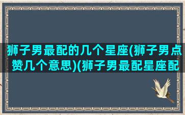 狮子男最配的几个星座(狮子男点赞几个意思)(狮子男最配星座配对)