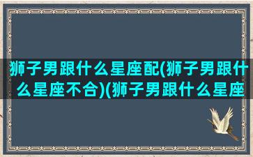 狮子男跟什么星座配(狮子男跟什么星座不合)(狮子男跟什么星座最配对指数)