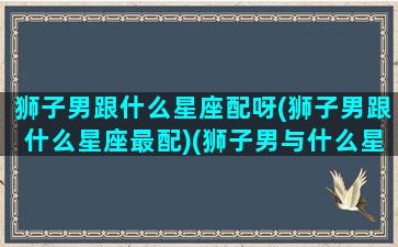 狮子男跟什么星座配呀(狮子男跟什么星座最配)(狮子男与什么星座最配对)