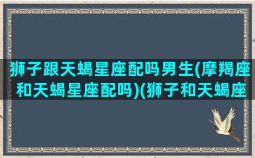 狮子跟天蝎星座配吗男生(摩羯座和天蝎星座配吗)(狮子和天蝎座配不配)