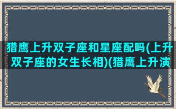 猎鹰上升双子座和星座配吗(上升双子座的女生长相)(猎鹰上升演员表)