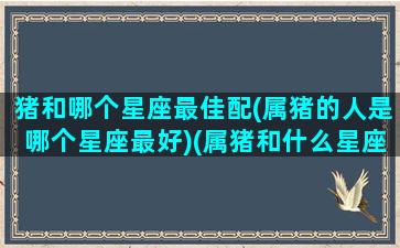 猪和哪个星座最佳配(属猪的人是哪个星座最好)(属猪和什么星座最配)